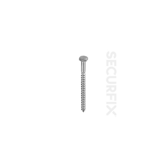 Coach Screw Zp M6 X 40Mm (20)
