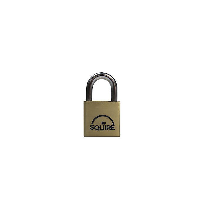Lion Padlock Brass 30Mm Ln3