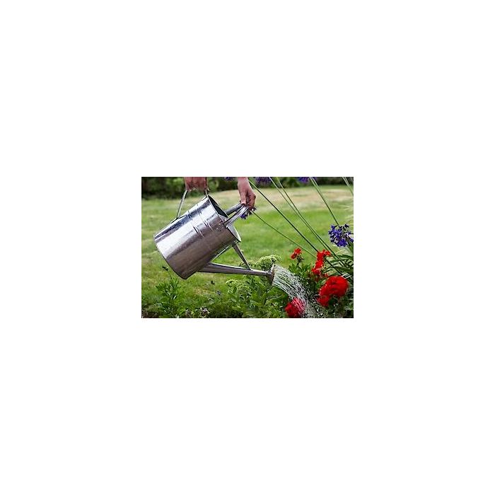 Galv Watering Can