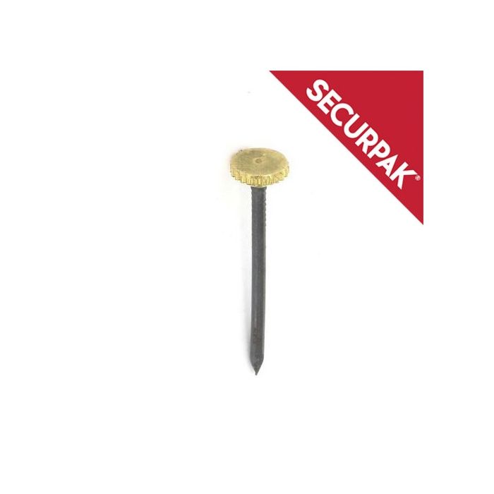 Securpak Brass Headed Picture Pins Pack 10