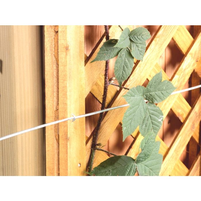 Ambassador Galvanised Wire 1.6Mm X 15M