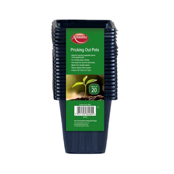 Ambassador Pricking Out Pots 8Cm - Pack 20