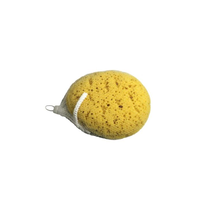 Blue Canyon Body Sponge