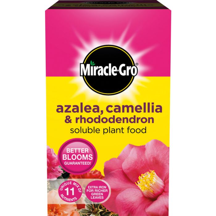 Miracle-Gro Azalea Camellia & Rhododendron Soluble Plant Food 500G Carton