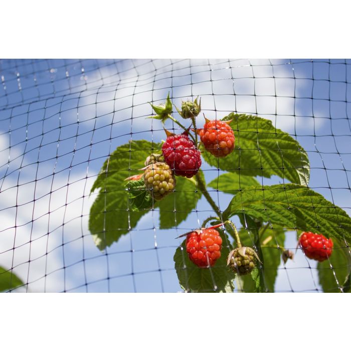 Ambassador Fruit Cage Net 16 x 2m
