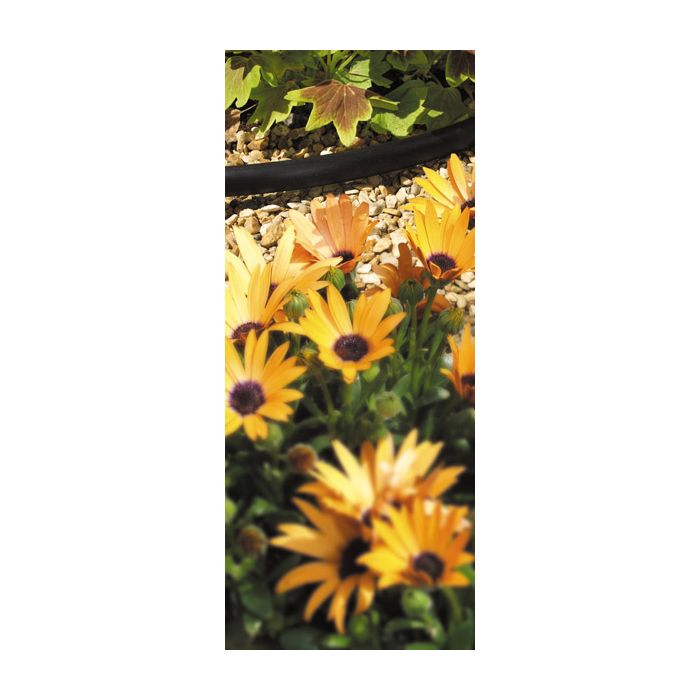 Hozelock Supply Hose 4mm (10m)