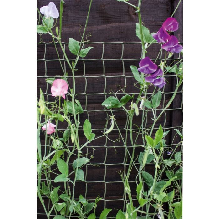 Ambassador Climbing Plant Support Green 30 X 0.5M