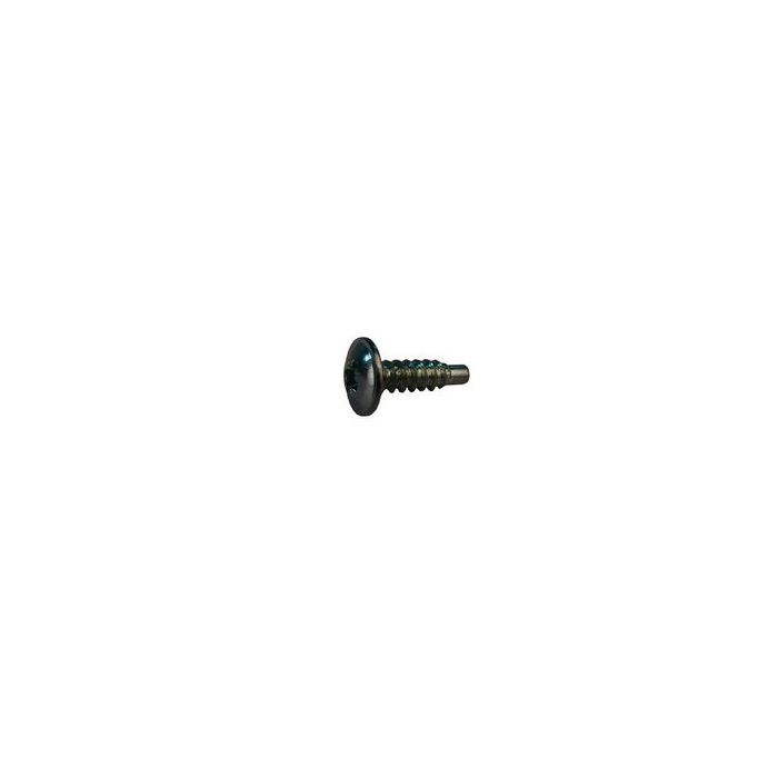 Bosch Worcester 29124210260 screw 