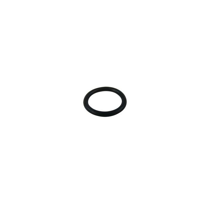 Biasi BI1001115 ring gasket 1.78x12.42 bypass 