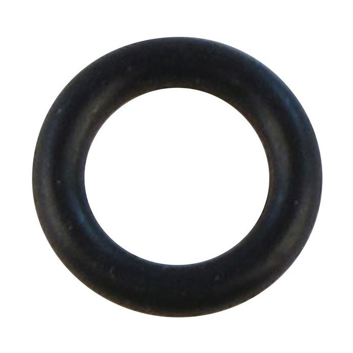 Biasi BI1475119 O-ring gasket 1.78 x 6.75 