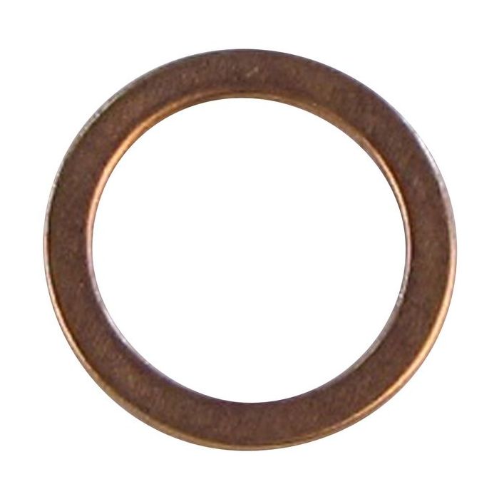 Bosch Riello 3007079 washer