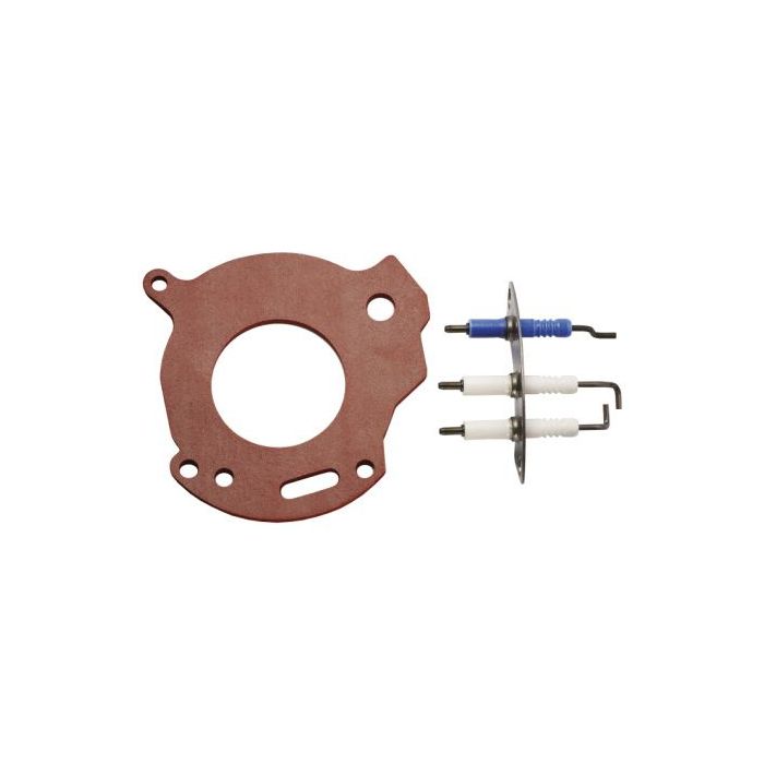 Worcester 87161163810 electrodes 