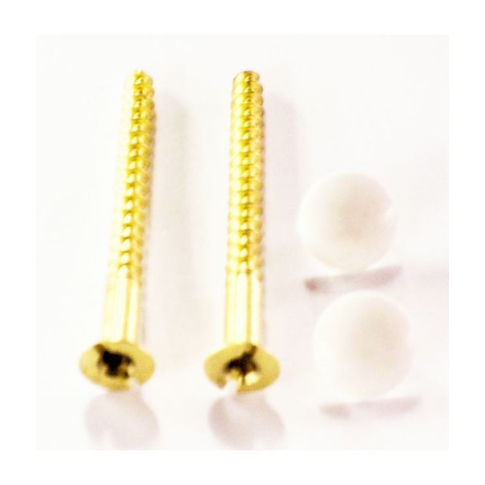 Ideal Standard Domex S910101 screws White (Pair) 