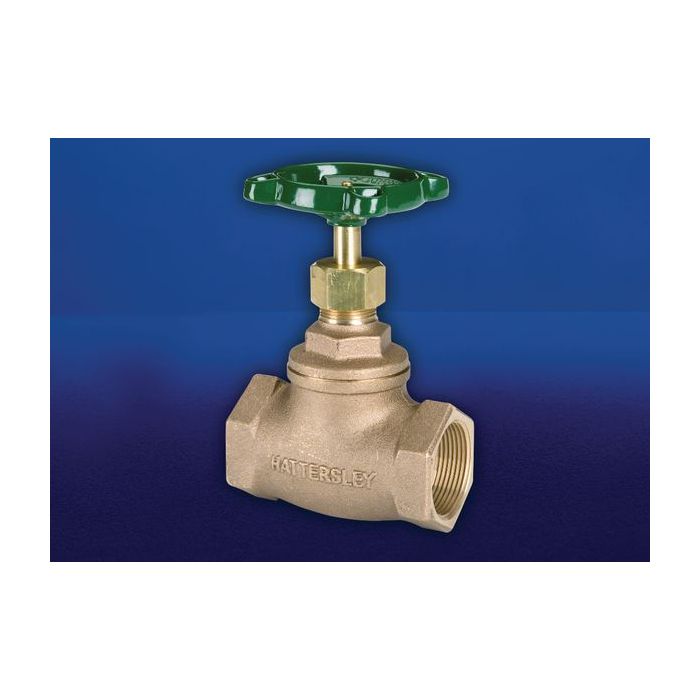 Hnh-13 Bsp Bronze Globe Valve (Pn32) 15