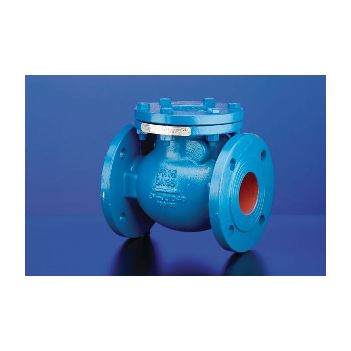 Hnh M651 Ci Check Valve Pn16 65Mm