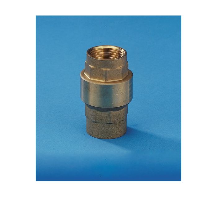 * Jet 24 Brass Bsp Spring Check Valve 50