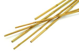 Bamboo Canes (Banded)   2.4M (Pk 10)